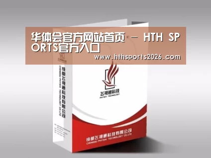 项目名称十三