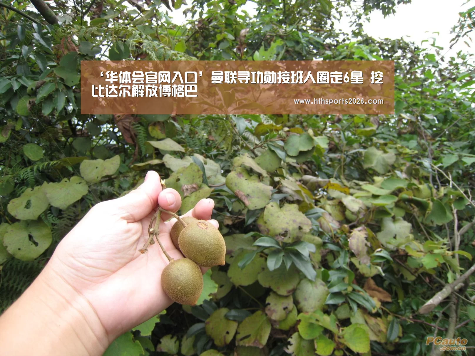 ‘华体会官网入口’曼联寻功勋接班人圈定6星 挖比达尔解放博格巴(图2) hth官网