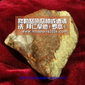 华体会体育网站